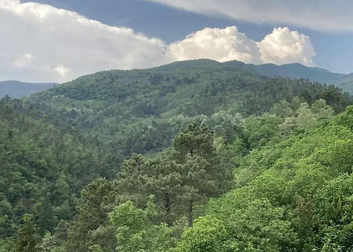Casa Nel Borgo - A Rigadea Groppo (La Spezia)
